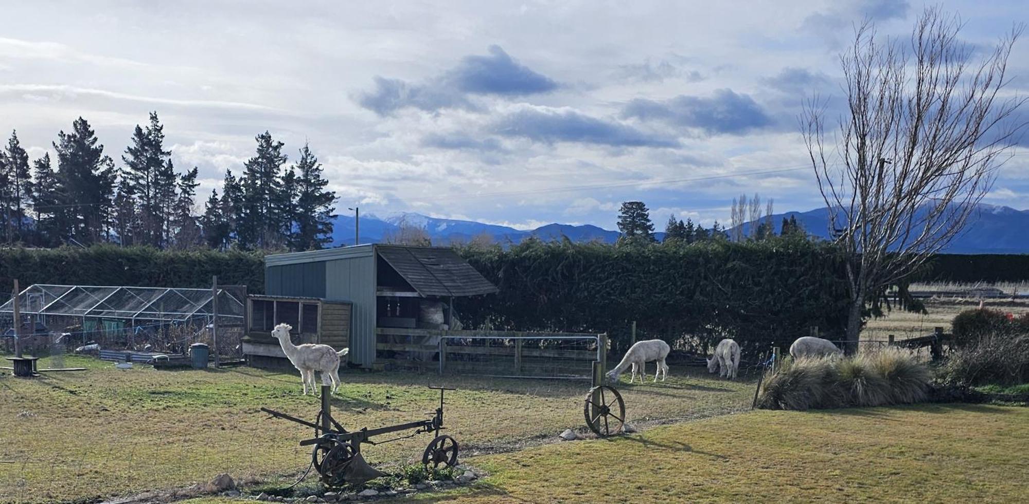 Bahara Accommodation Springfield Esterno foto